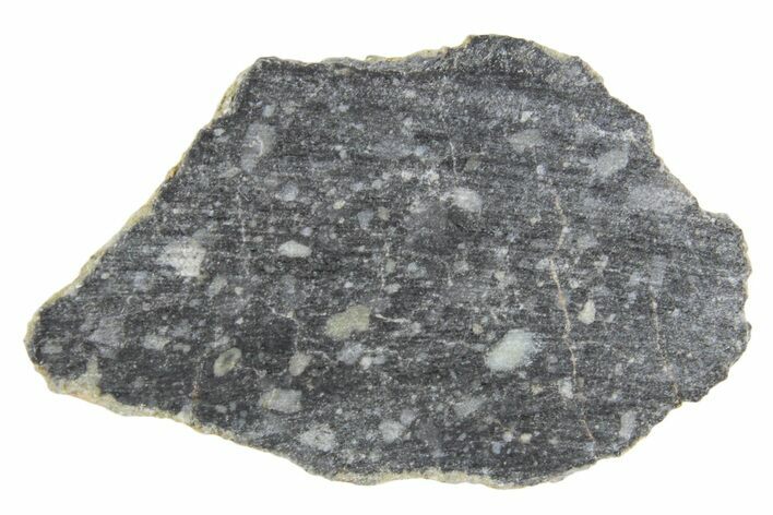 Polished Lunar Meteorite ( g) Section - NWA #360242